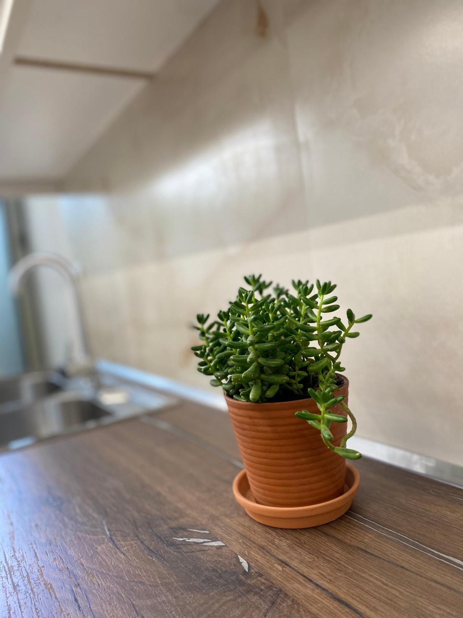 דורס Flors Apartments מראה חיצוני תמונה