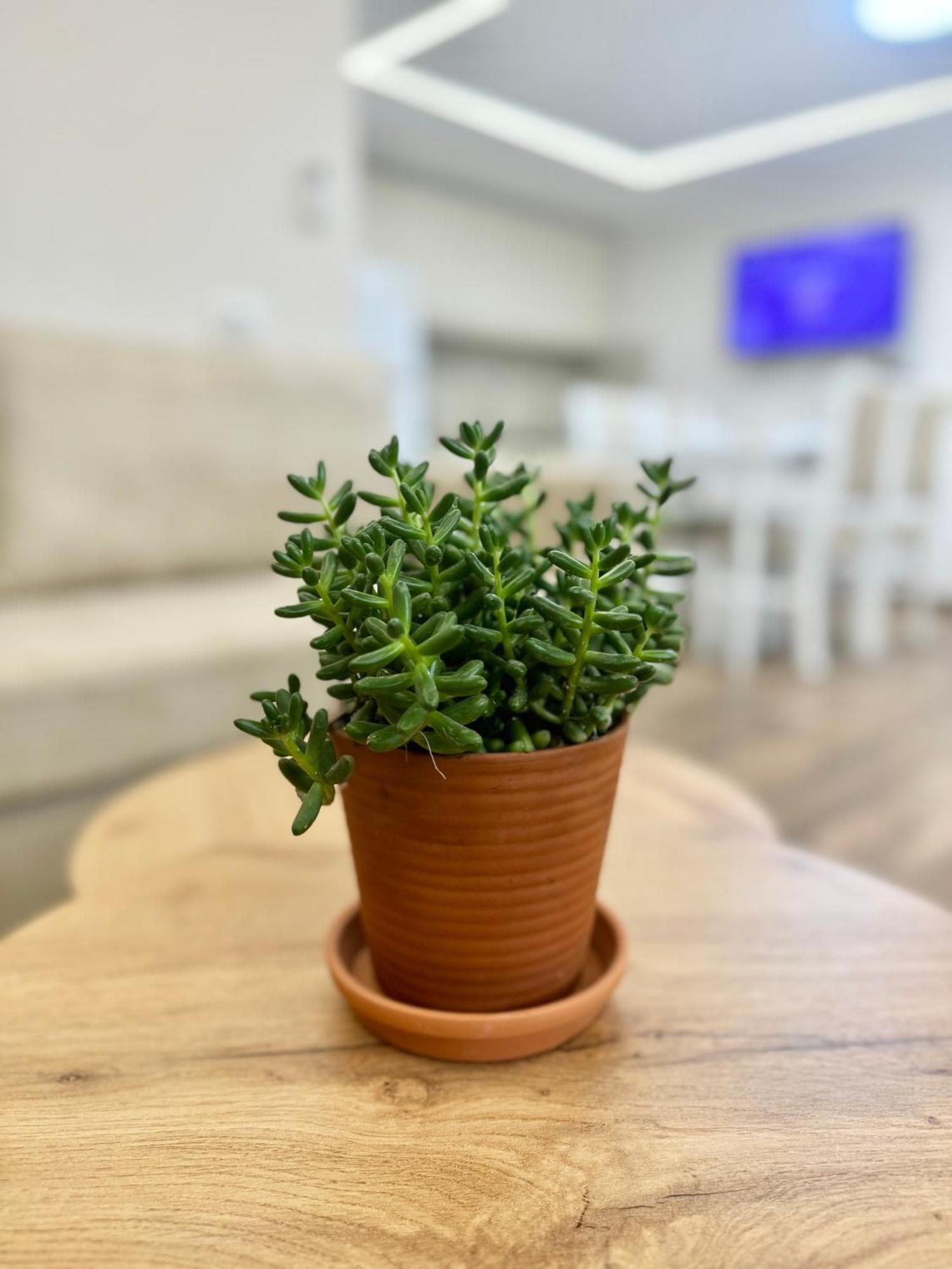 דורס Flors Apartments מראה חיצוני תמונה